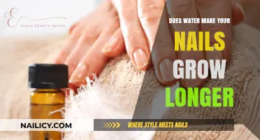 Hydration and Nail Growth: The Water-Nail Connection