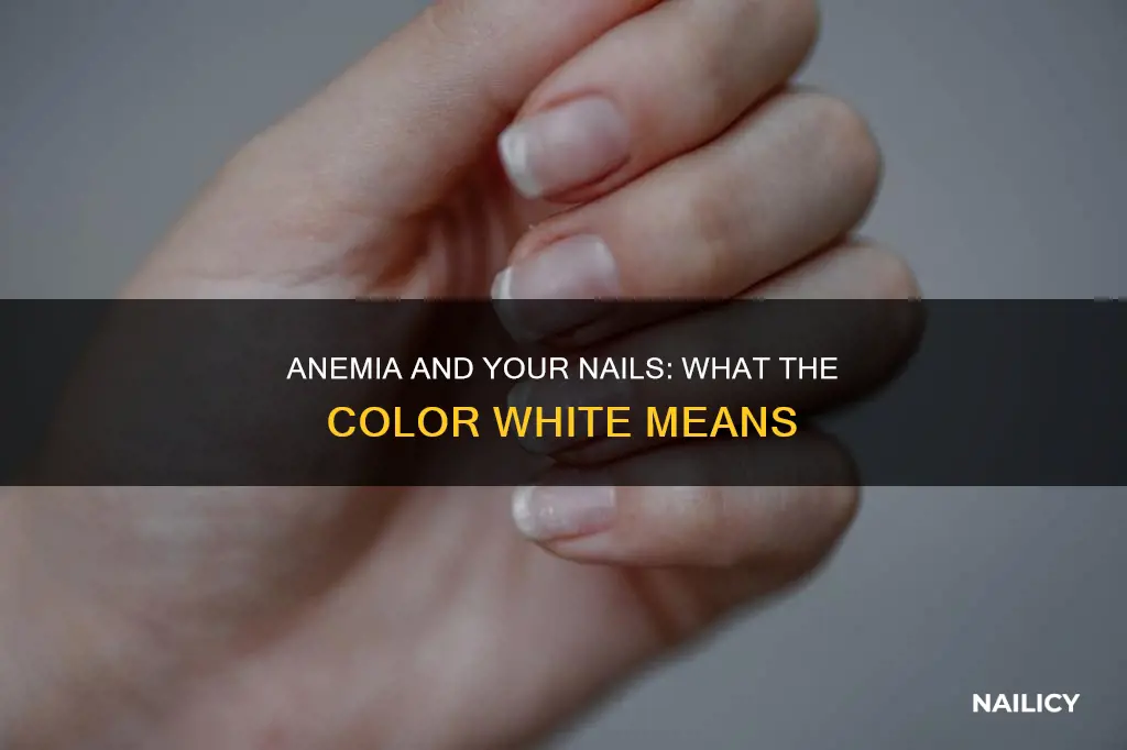 does white nail bed mean anemic