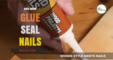 Wood Glue and Nails: A Strong Bond or Weak Seal?
