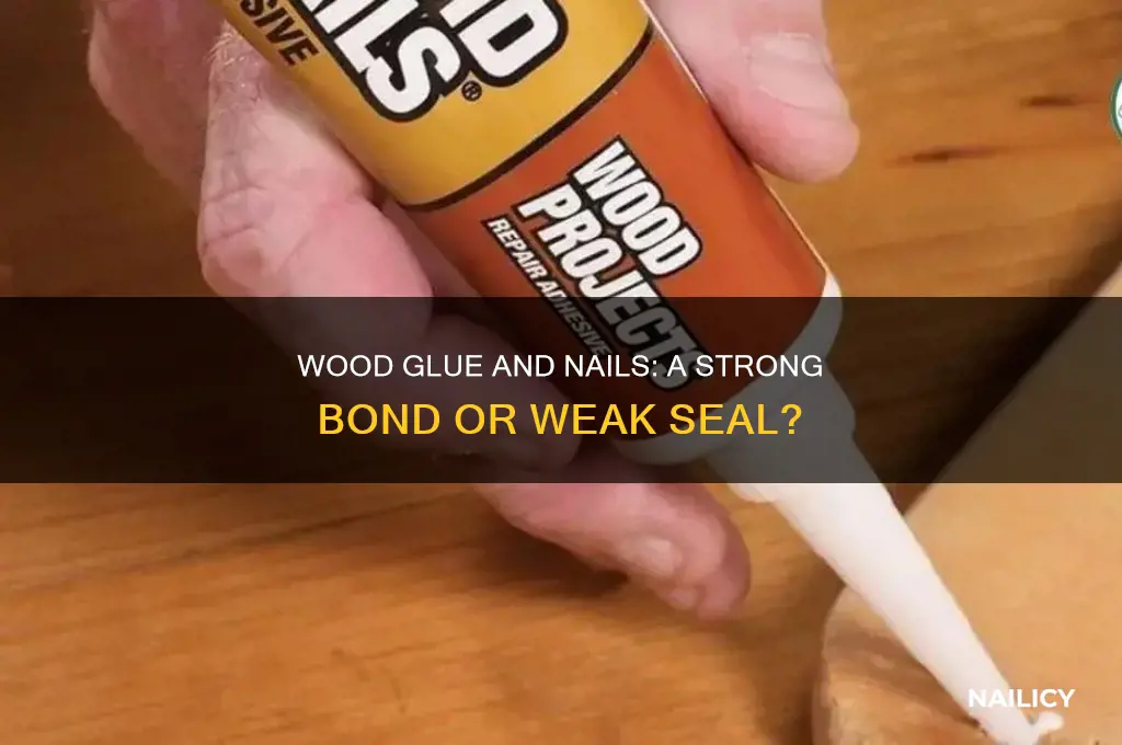 does wood glue seal nails