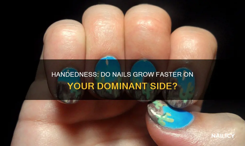 does your dominant hand nails grow faster