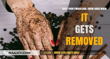 Nail Regeneration: What Happens After a Nail is Removed?