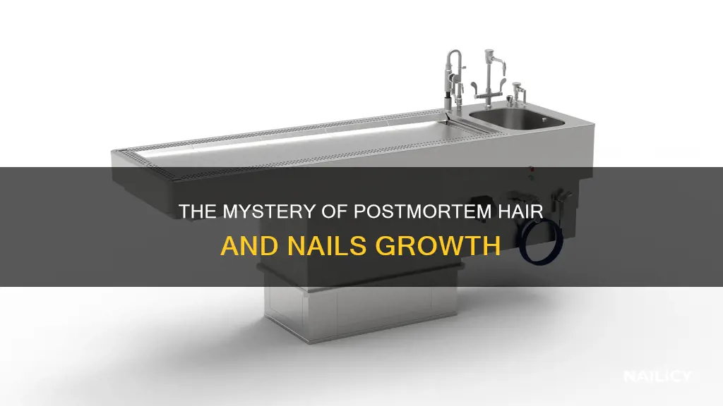 does your hair and finger nails grow when you die