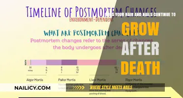 Do Hair and Nails Grow After Death?