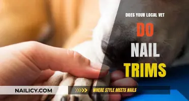 Local Vets Offering Nail Trims: What You Need to Know
