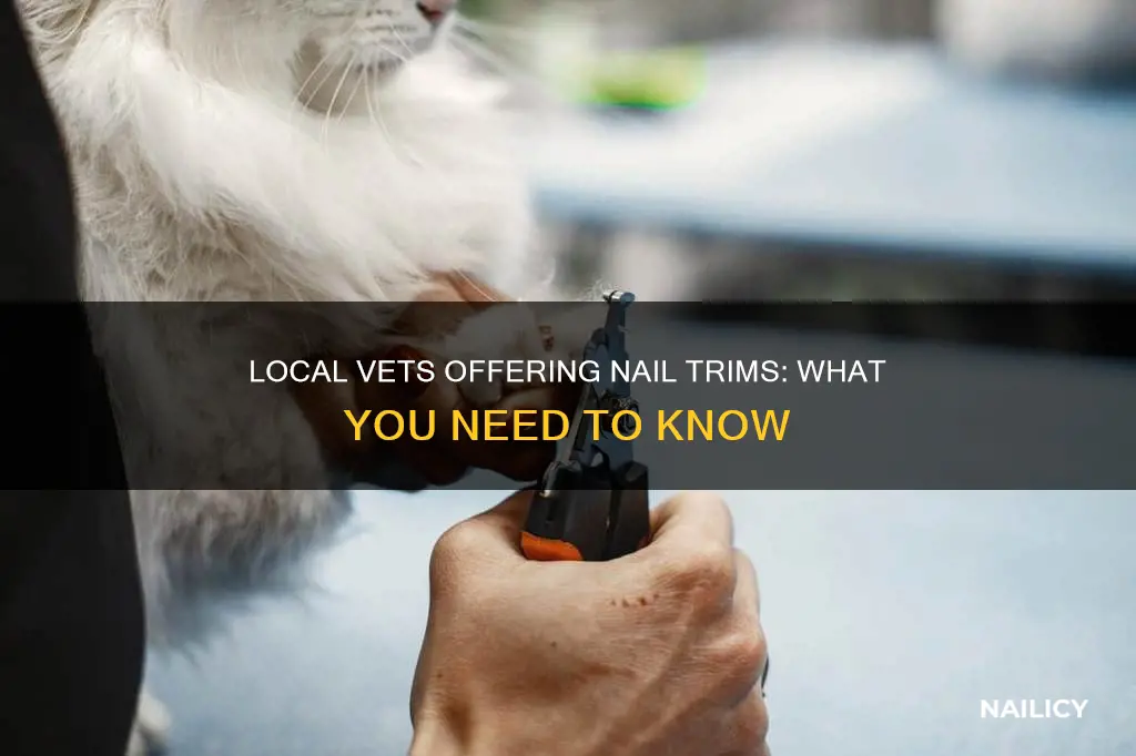 does your local vet do nail trims