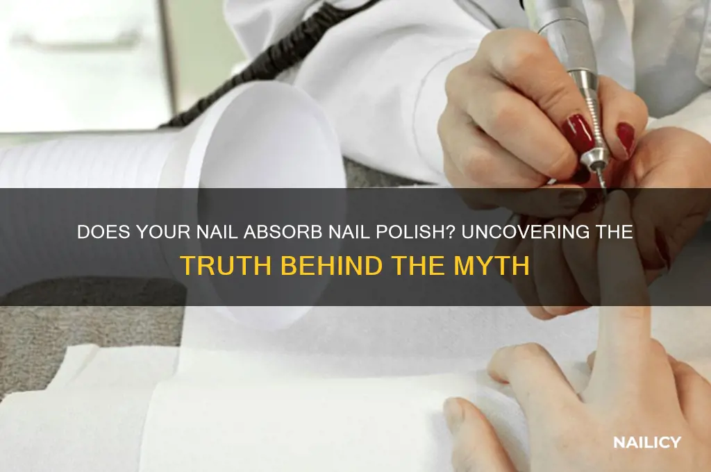 does your nail absorb nail polish