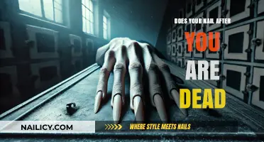 What Happens to Your Nails After Death: Facts and Myths Explained