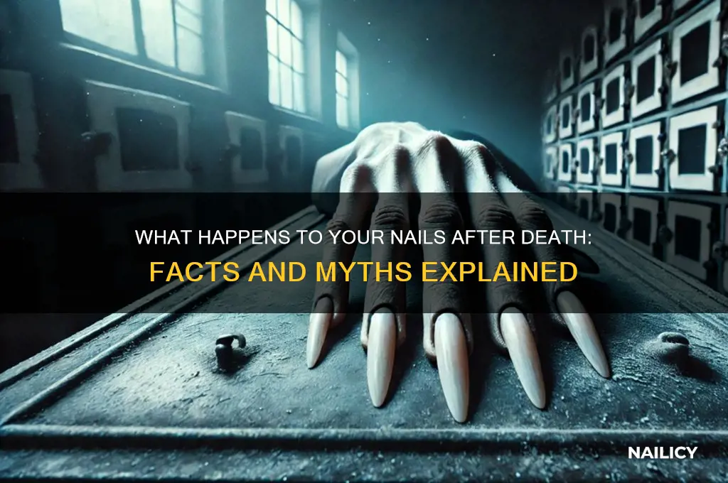 does your nail after you are dead