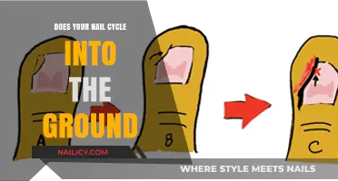 Nail Growth Cycle: Does Your Nail Really Cycle into the Ground?