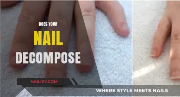 Do Nails Decompose? Uncovering the Truth About Nail Breakdown
