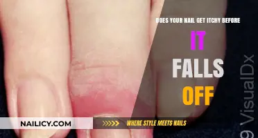 The Itchy Truth: Understanding Nail Loss and Its Symptoms