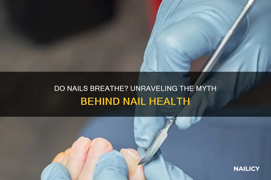 does your nails breathe
