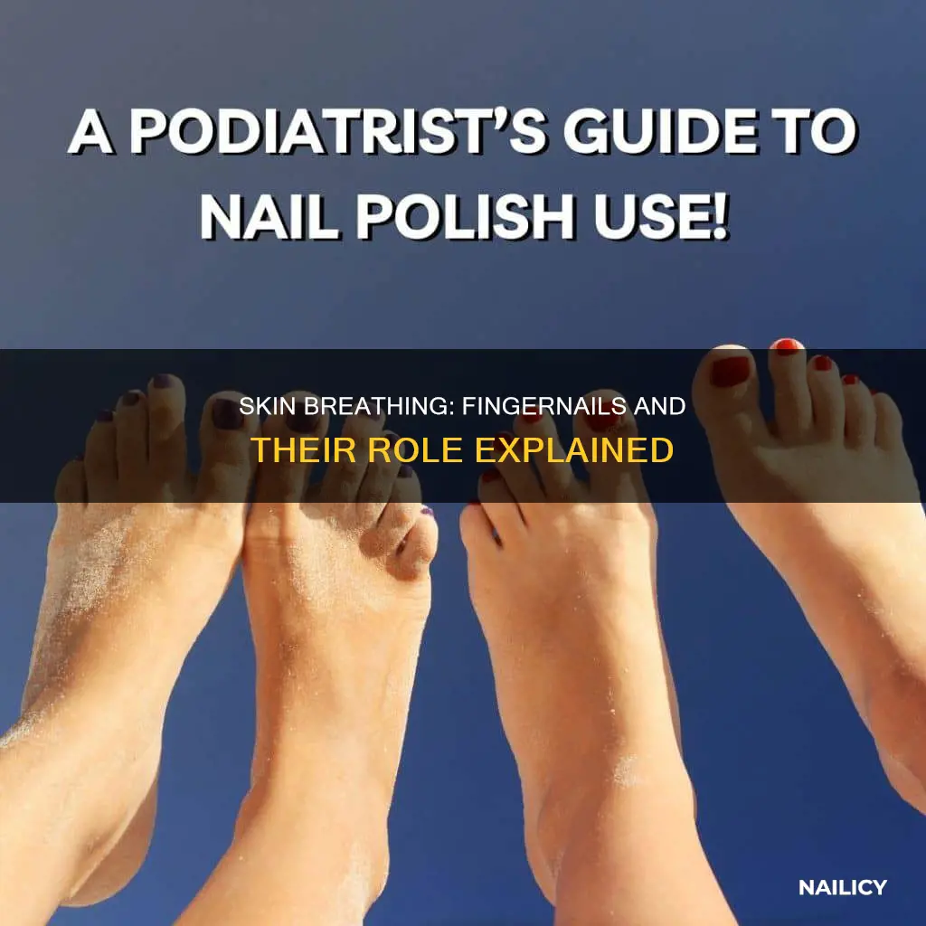 does your skin breathe through finger nails