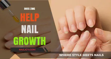Zinc's Role in Nail Growth: Fact or Fiction? Discover the Truth