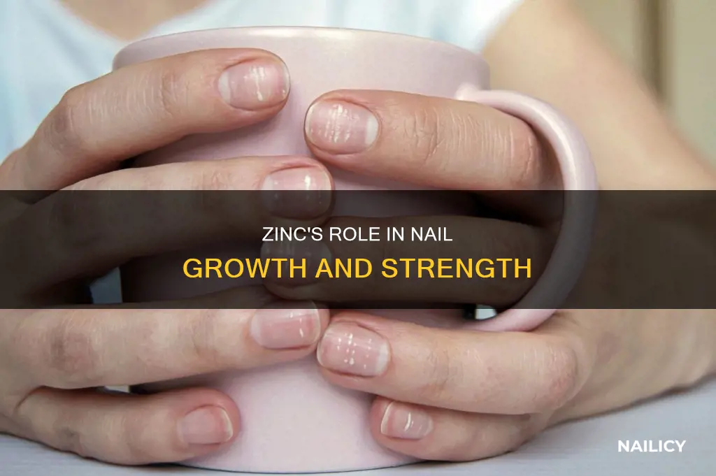 does zinc help nails grow