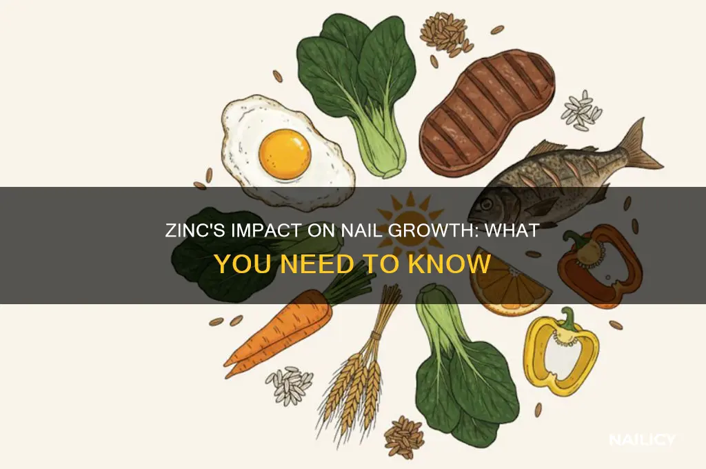does zinc make your nails grow