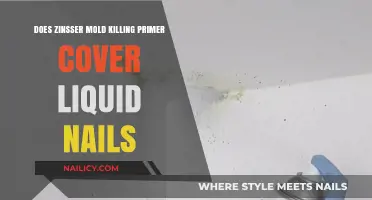 Zinsser Mold Killing Primer: Does It Cover Liquid Nails Effectively?