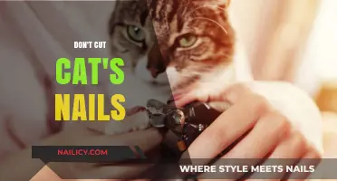 Cat Claw Clipping: Why You Shouldn't