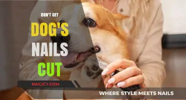 Why You Should Reconsider Trimming Your Dog's Nails