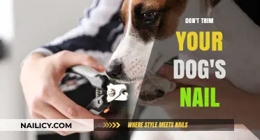 Why Trimming Your Dog's Nails is Unnecessary