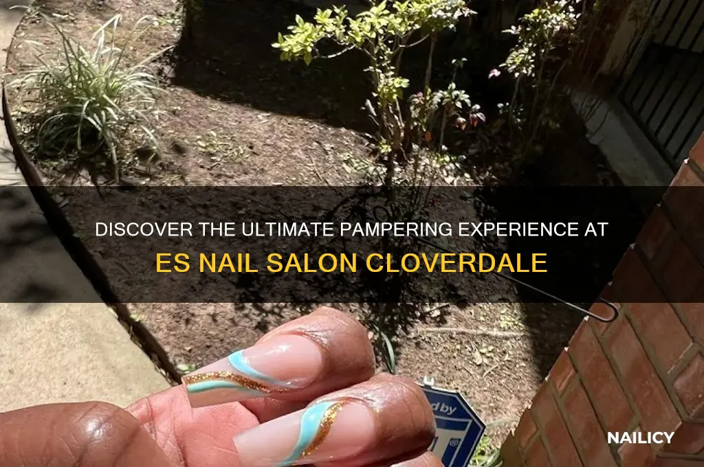 es nail salon cloverdale