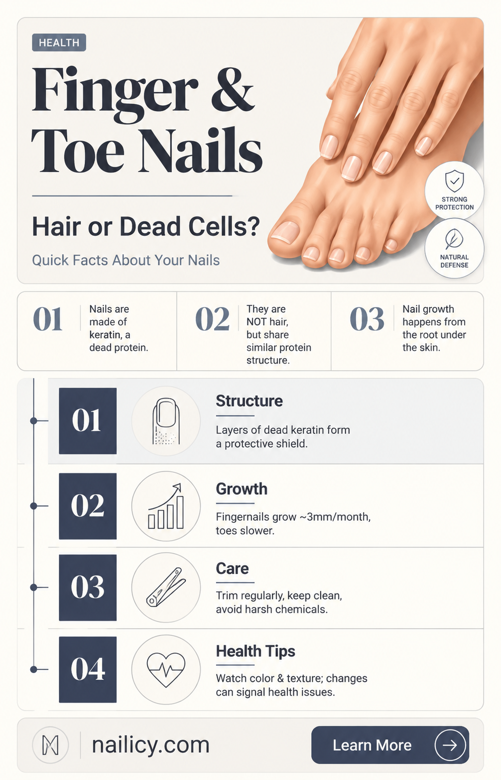 are finger nails and toe nail dead hair