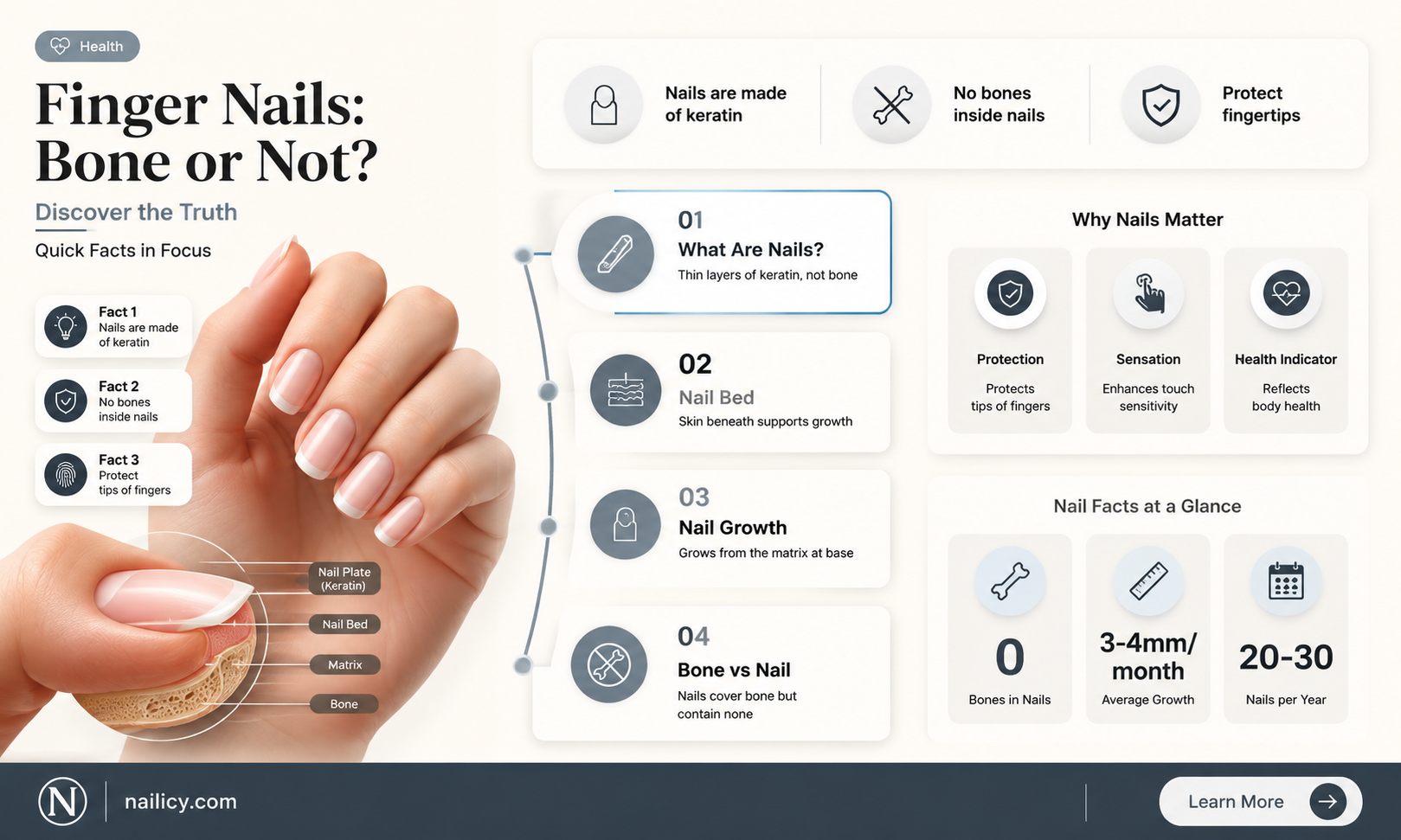 are finger nails bones
