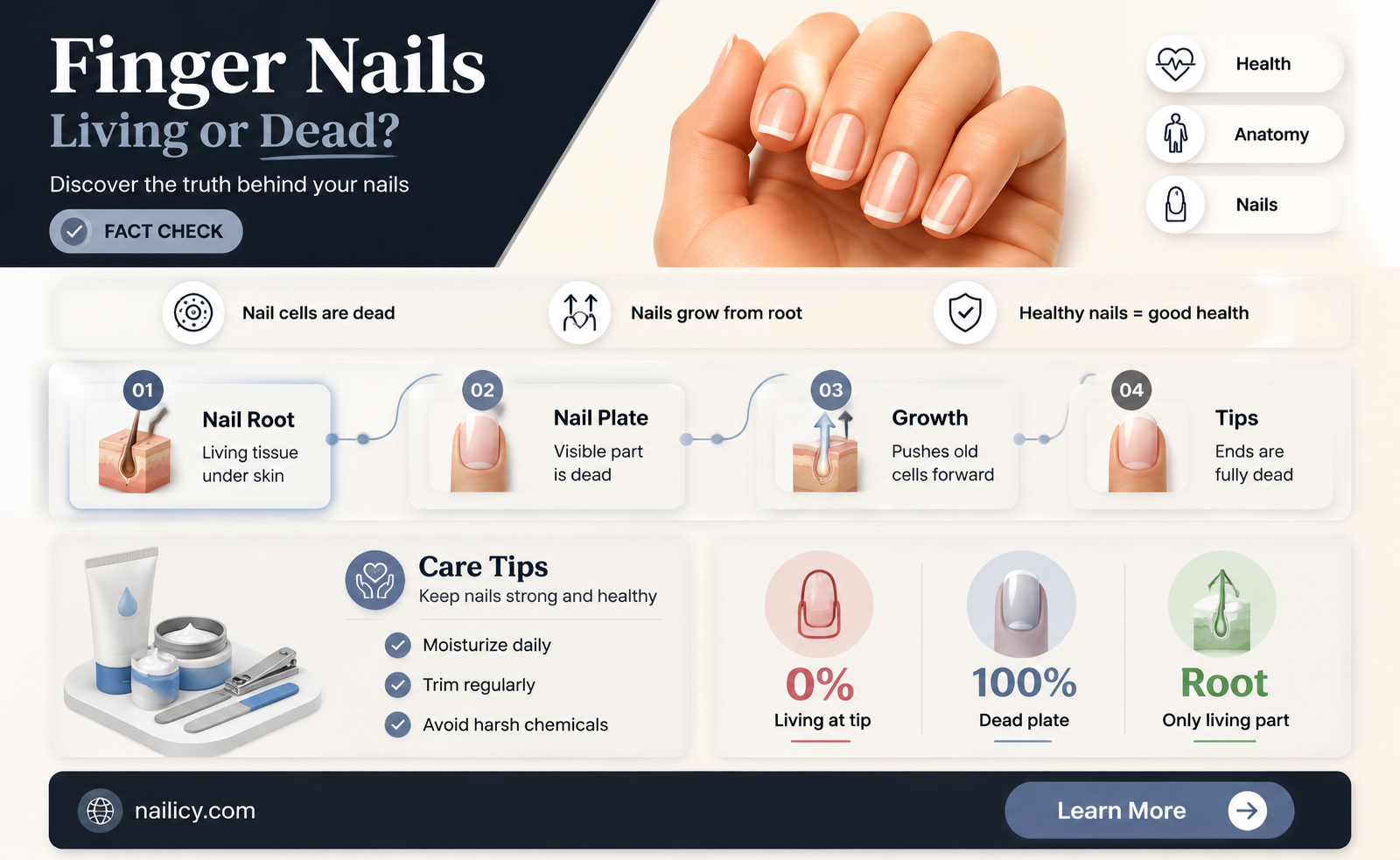 are finger nails dead