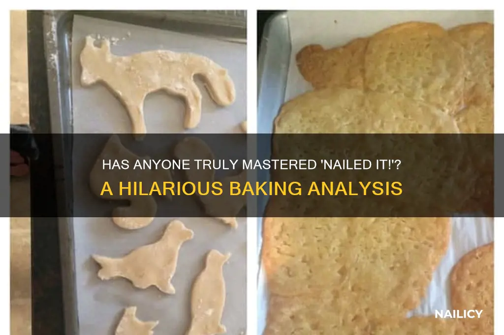 has anyone actually nailed it on nailed it