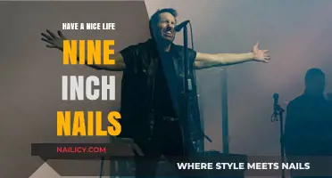 Have a Nice Life: Nine Inch Nails' Hauntingly Beautiful Musical Journey