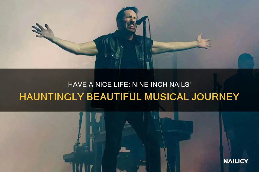 have a nice life nine inch nails