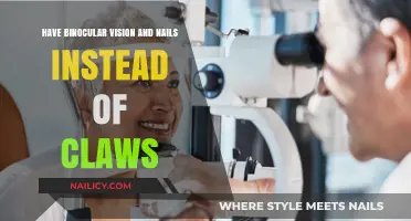 Binocular Vision and Nail Evolution: Unveiling Nature's Unique Adaptations