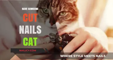How to Trim Your Cat's Nails Safely