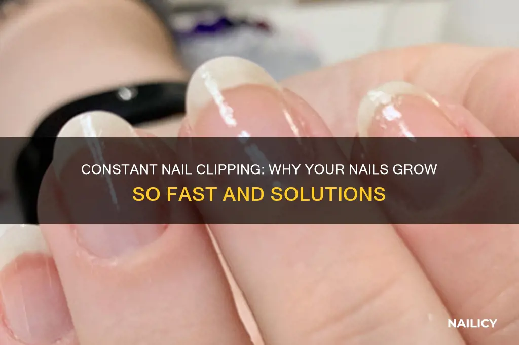 have to clip nails all the time