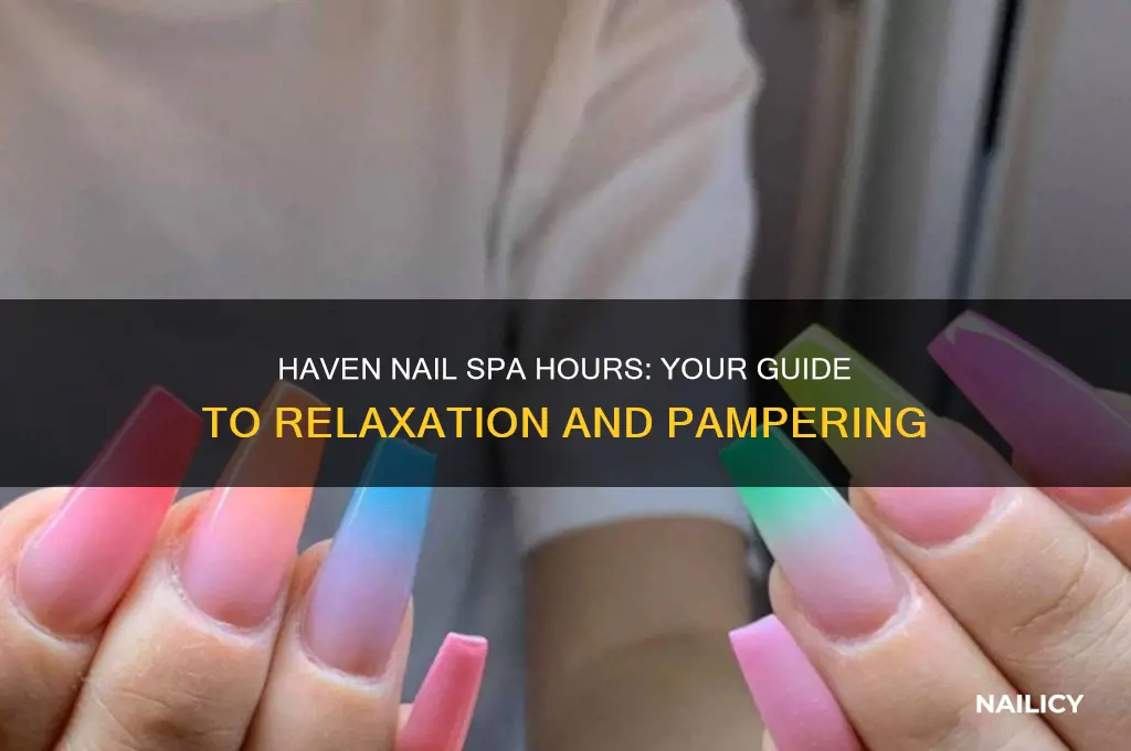 haven nail spa hours