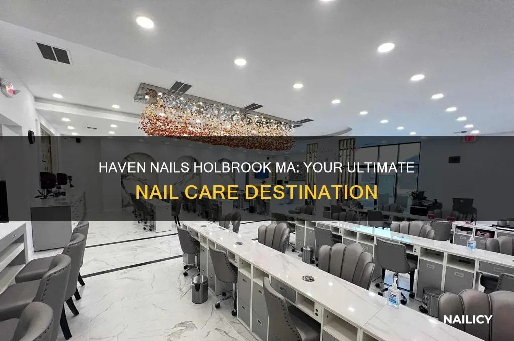 haven nails holbrook ma