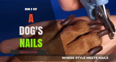 Trimming Your Dog's Nails: A Step-by-Step Guide
