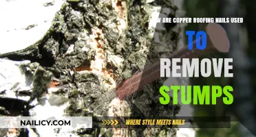 Removing Stumps with Copper Roofing Nails: An Effective Guide
