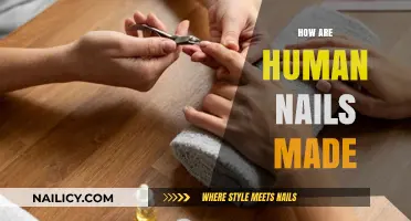 Understanding the Science Behind How Human Nails Are Made
