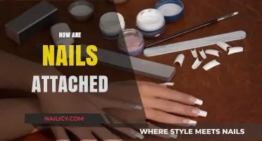 Understanding Nail Attachment: Methods, Materials, and Techniques Explained