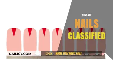 Understanding Nail Types: A Comprehensive Classification Guide for Beginners