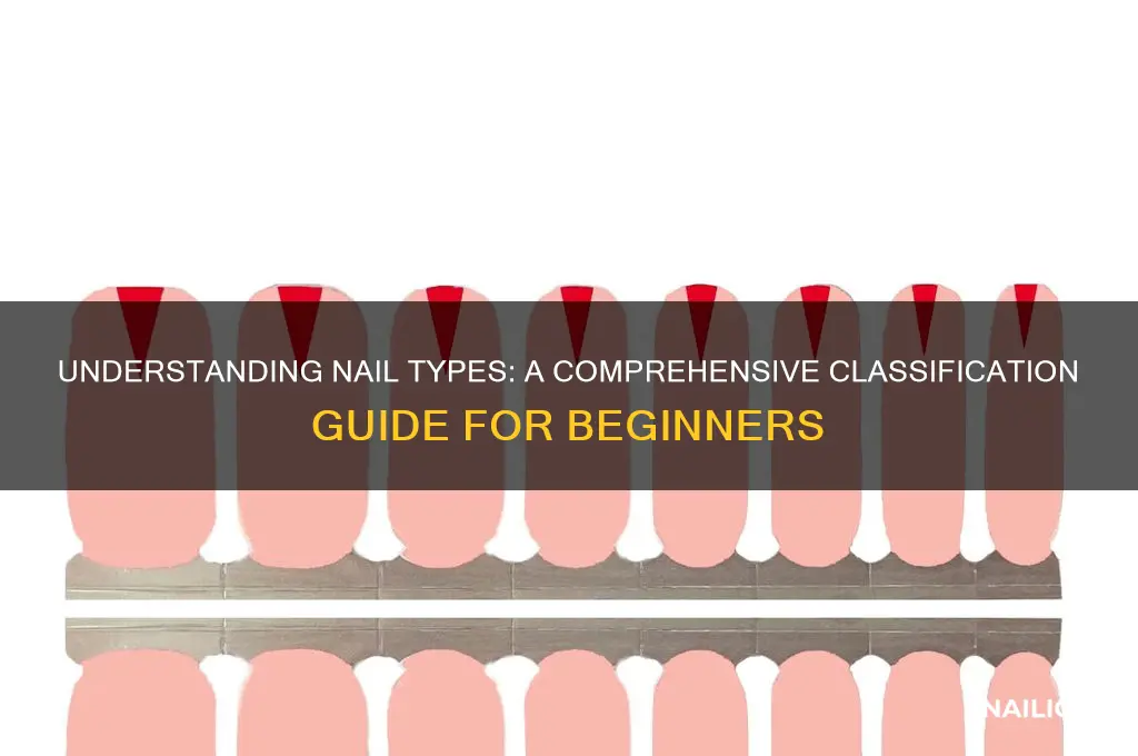 how are nails classified