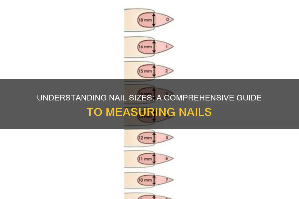 how are nails measured