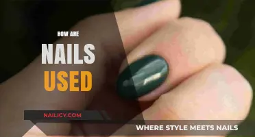 Exploring the Versatile World of Nails: From Construction to Crafts