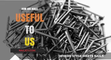 Hammering Home the Importance: How Nails Shape Our World