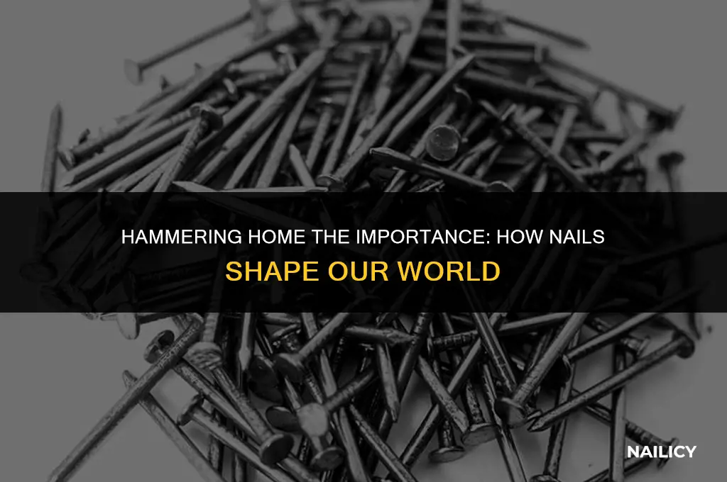 how are nails useful to us