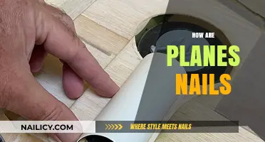 How Planes and Nails Share Surprising Engineering Parallels