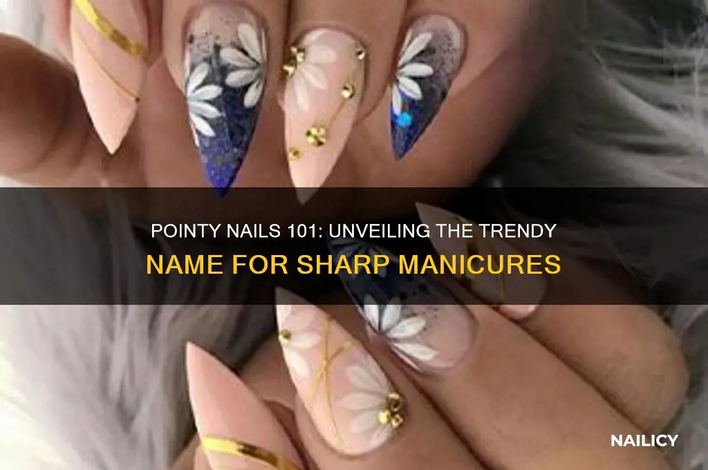 how are pointy nails called
