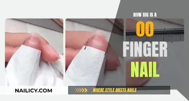 Unveiling the Mystery: The Surprising Size of a 00 Finger Nail